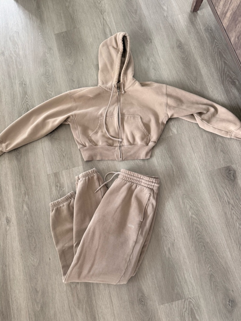 Aritzia Sweatfleece Hoodie and Joggers